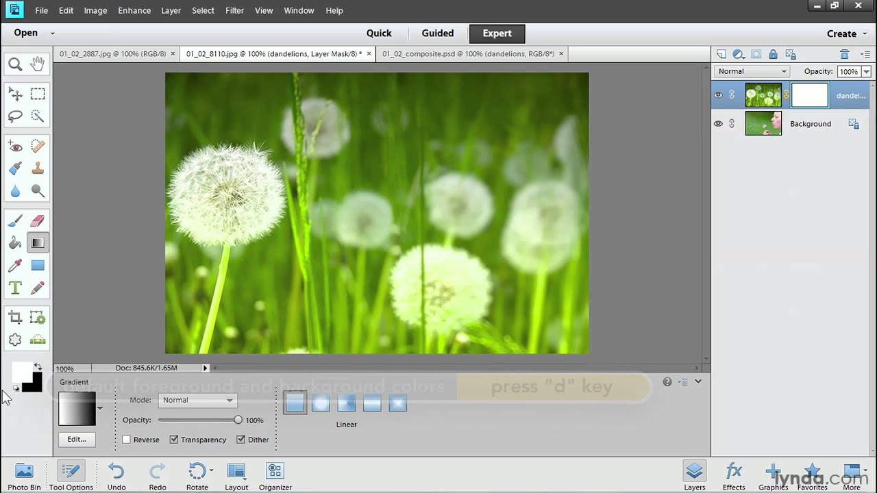 adobe photoshop elements for mac free download full version